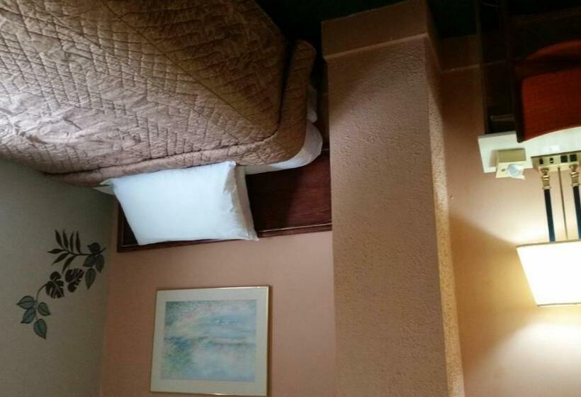 스탠다드 룸 공동 욕실, A Voyageur S Guest House