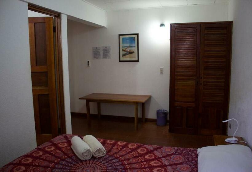 غرفة قياسية, Hostel Tajalín