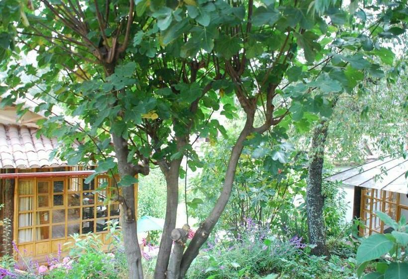 غرفة قياسية فردية, Iorana Urubamba