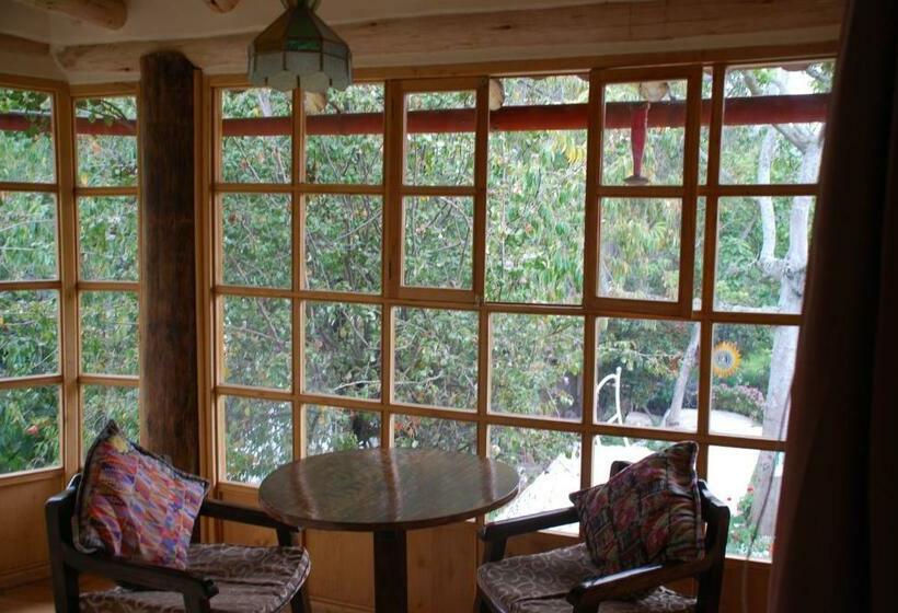 غرفة قياسية فردية, Iorana Urubamba