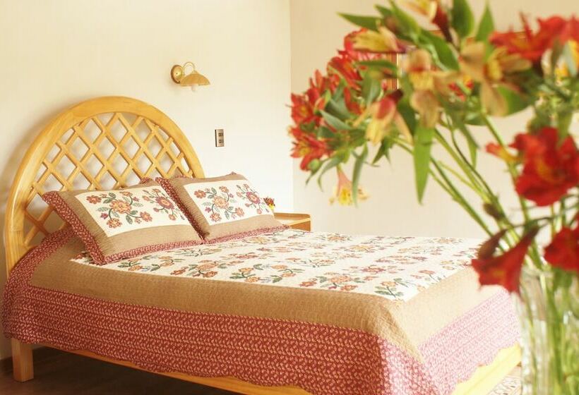 غرفة قياسية, Iorana Urubamba