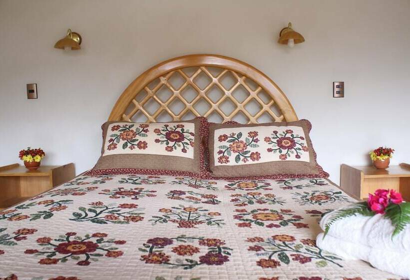 غرفة قياسية, Iorana Urubamba