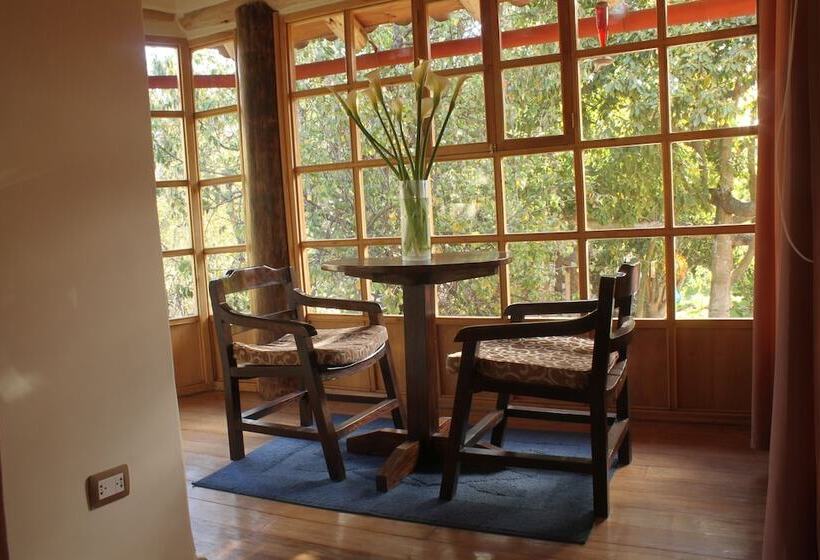 غرفة قياسية, Iorana Urubamba