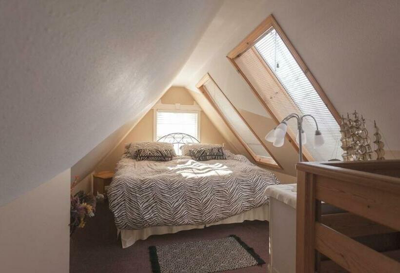 디럭스 룸 바다 전망, Ocean Breeze Executive Bed And Breakfast
