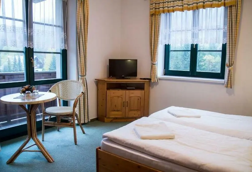 Standard-huone Parveke, Pension Pohoda