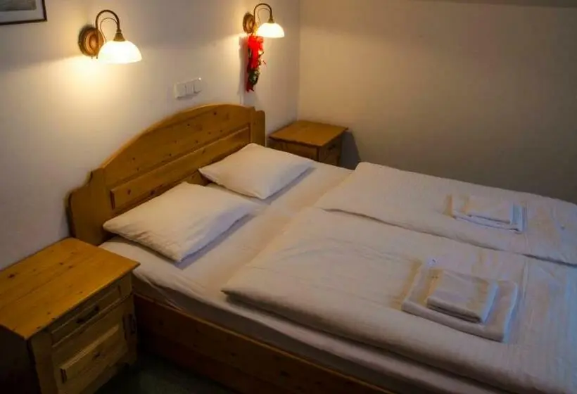 Standard-huone Parveke, Pension Pohoda