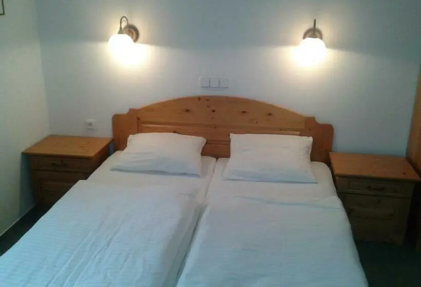 Standard-huone Parveke, Pension Pohoda