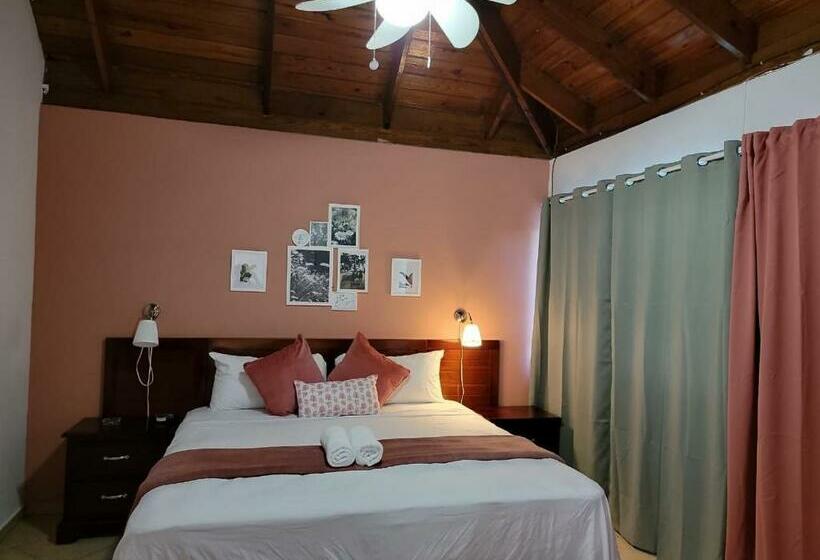 اتاق لوکس با تخت بزرگ, Sea Breeze Sosua