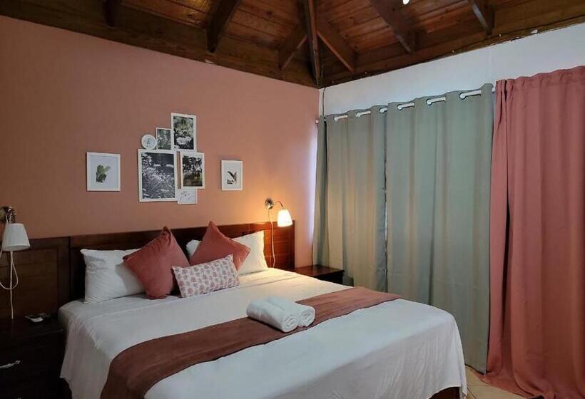 اتاق لوکس با تخت بزرگ, Sea Breeze Sosua