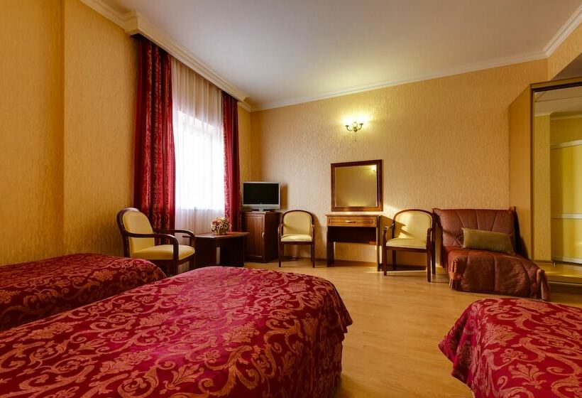 חדר סטנדרט לשלושה, Vizit