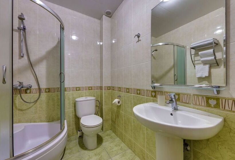 חדר סטנדרט, Vizit