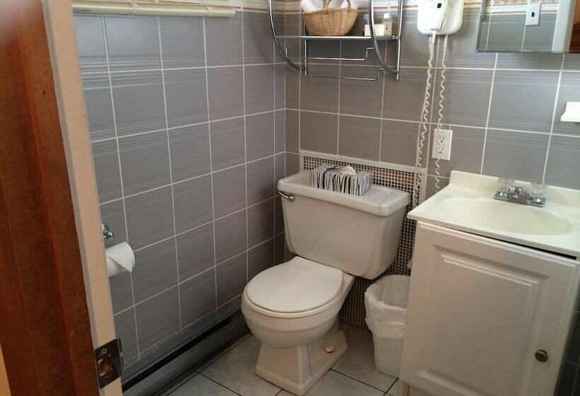 غرفه قياسيه سريرين مزدوجين, Mozaik Motel