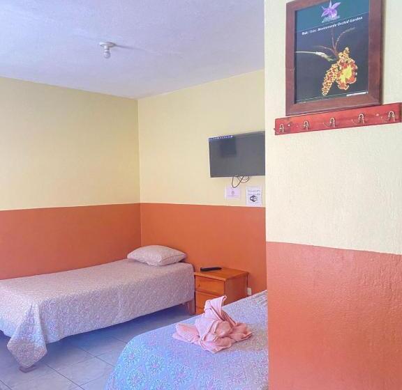 חדר סטנדרט לשלושה, La Puesta Del Sol B&b