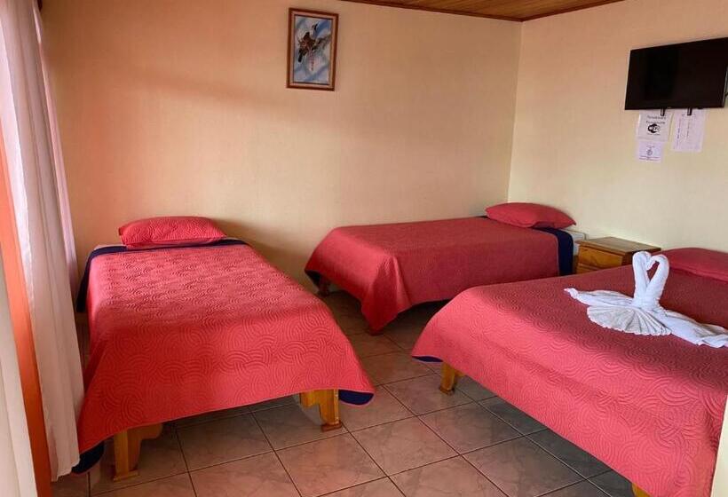 חדר אקונומי לארבעה, La Puesta Del Sol B&b