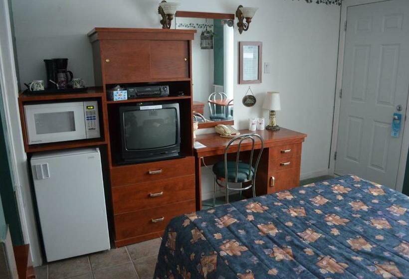 غرفة قياسية مزوَّدة بجاكوزي, Motel Anf