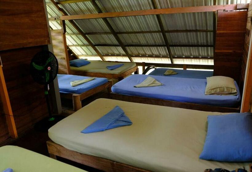 Bed in een Gedeelde Kamer, Kachikine