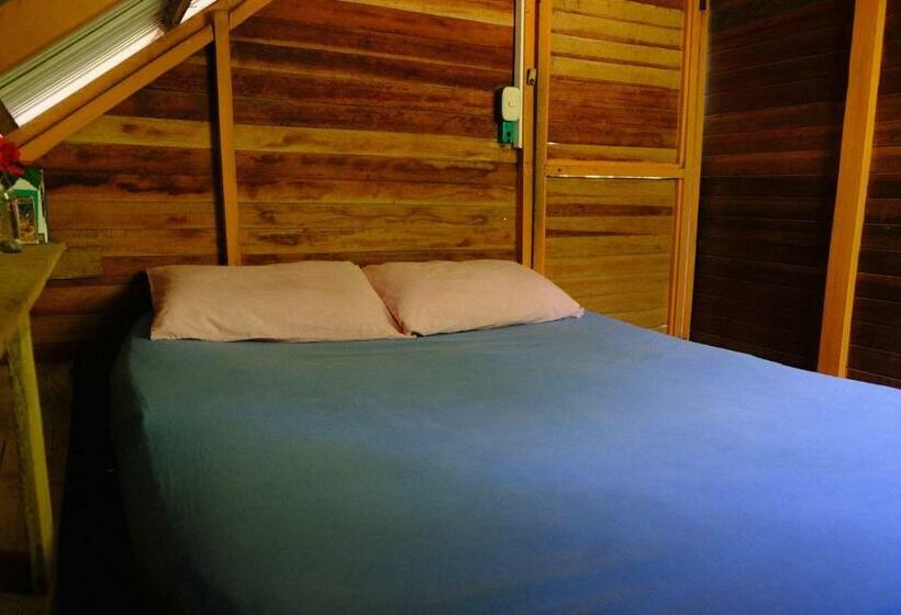Chambre Economy, Kachikine