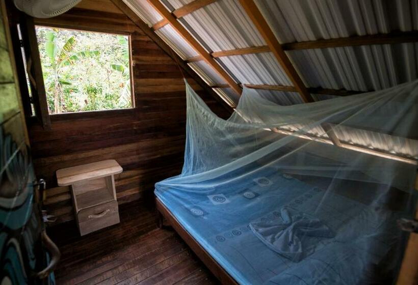 Chambre Economy, Kachikine