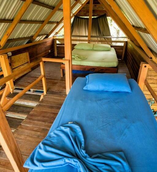 Chambre Economy, Kachikine