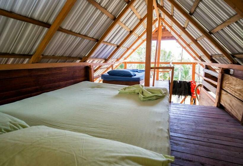 Chambre Economy, Kachikine