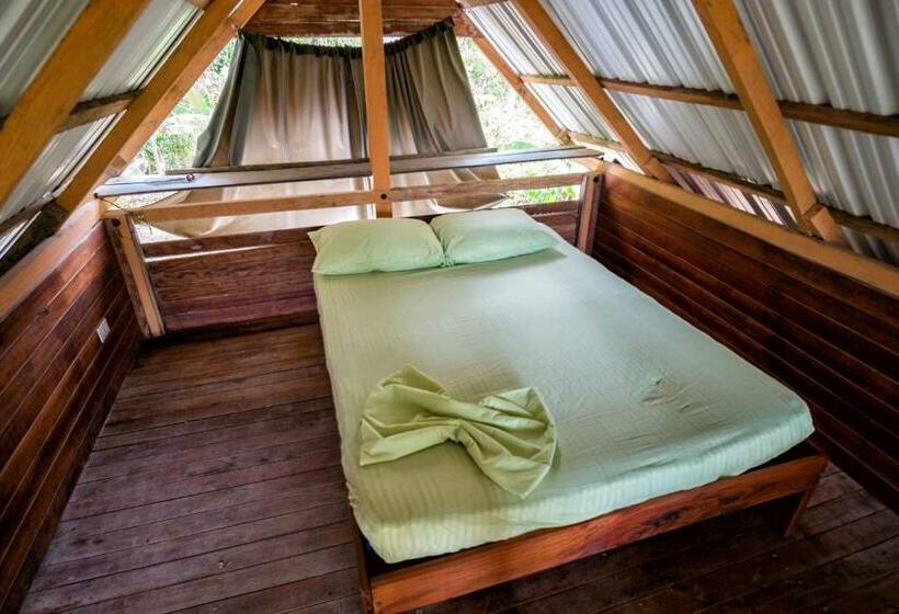 Economy Kamer, Kachikine