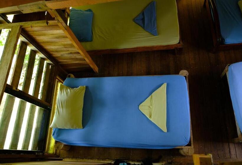 Bed in een Gedeelde Kamer, Kachikine
