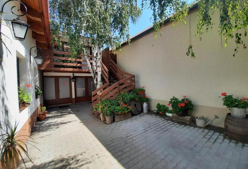 استودیوی لوکس, Korona Panzió