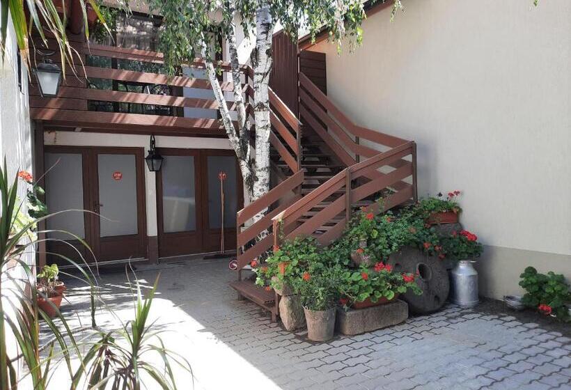 استودیوی لوکس, Korona Panzió