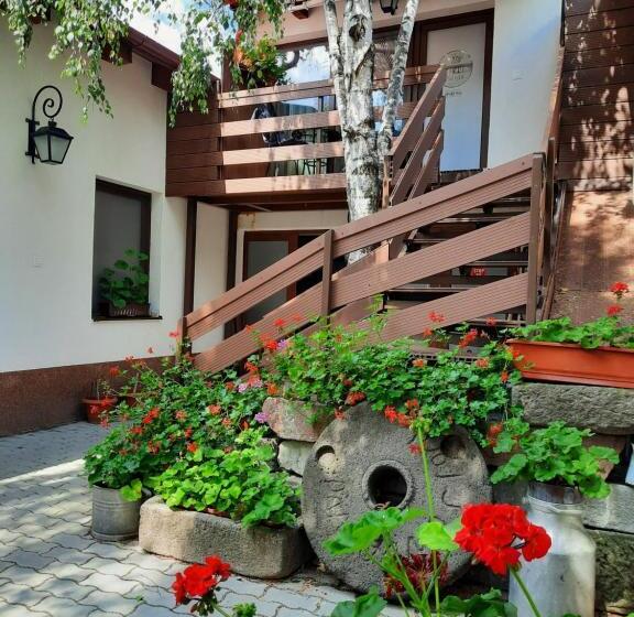 استودیوی لوکس, Korona Panzió