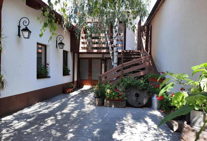 استودیوی لوکس, Korona Panzió