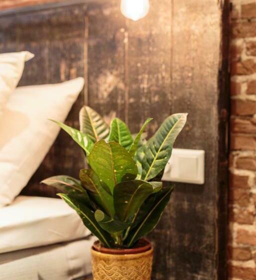 غرفة قياسية, Dwars