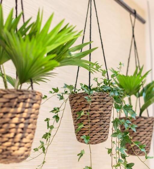 غرفة قياسية ثلاثية, Dwars