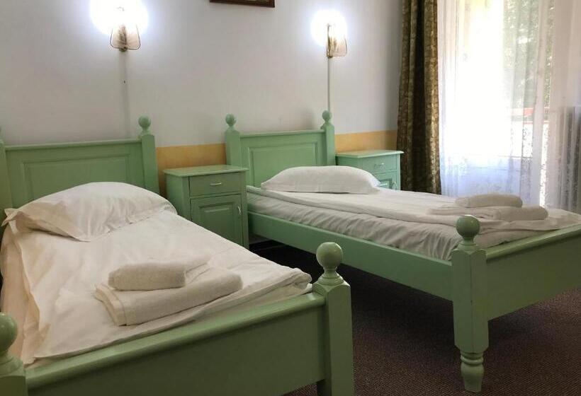 חדר סטנדרט, Hefaistos   Sovata