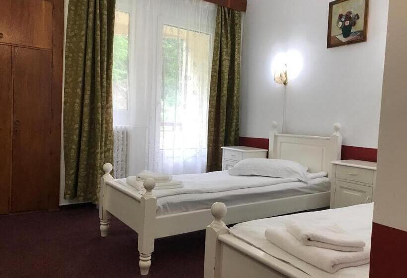 חדר סטנדרט, Hefaistos   Sovata