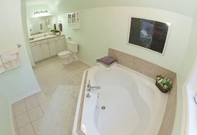 اتاق استاندارد, Tekdiv B&b