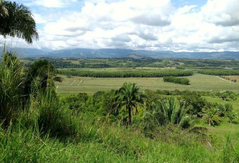 标准间, Tesoro Andino