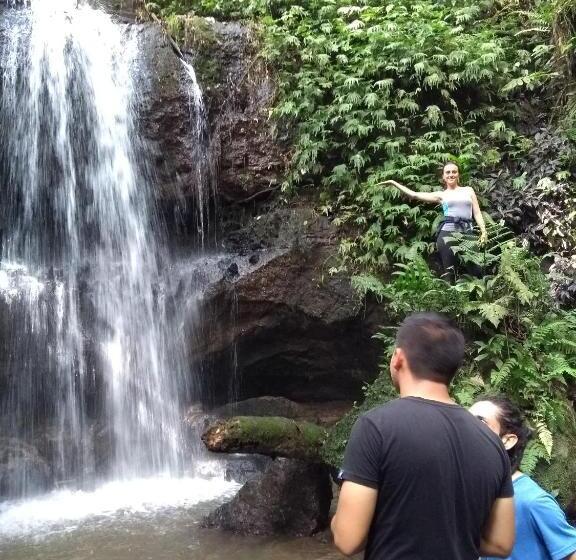 标准间, Tesoro Andino