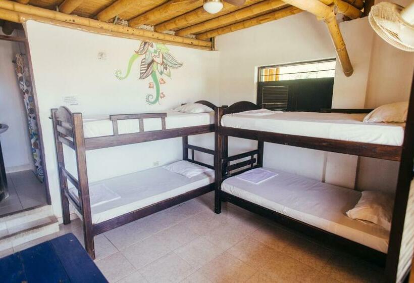 اتاق استاندارد چهار تخته, La Tortuga Hostel