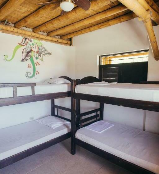 تختخواب در اتاق مشترک, La Tortuga Hostel