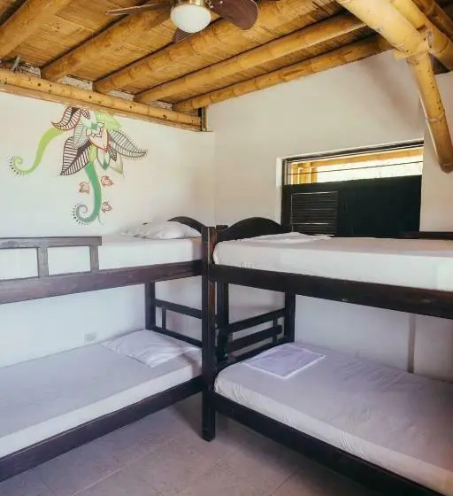 スタンダード４人部屋, La Tortuga Hostel
