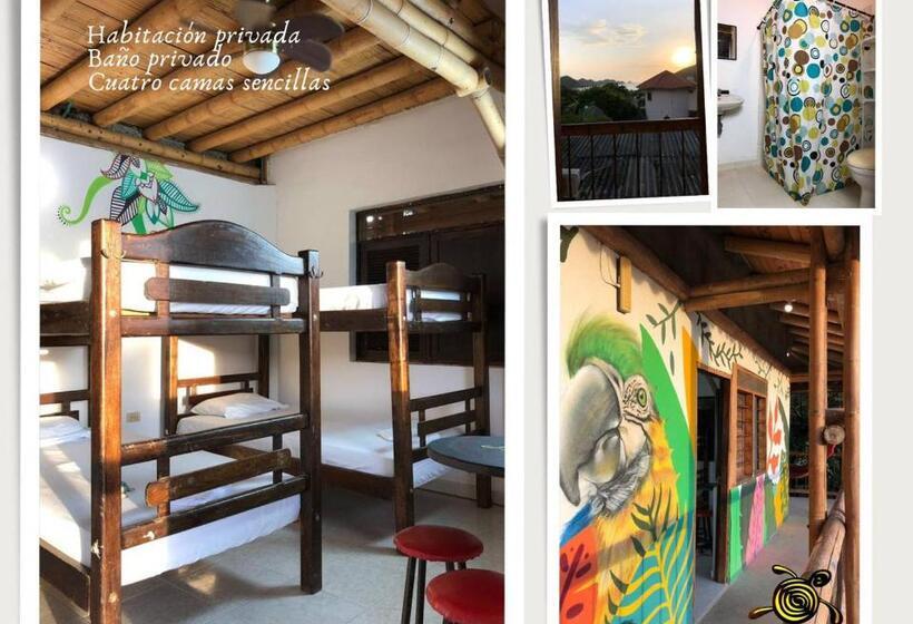 تختخواب در اتاق مشترک, La Tortuga Hostel