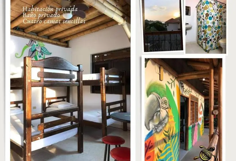 ルームシェアのワンベッド, La Tortuga Hostel