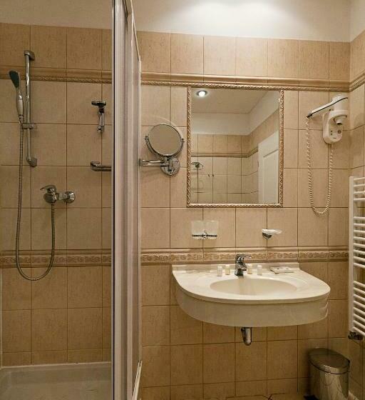 스탠다드 룸, Spa Hotel čajkovskij