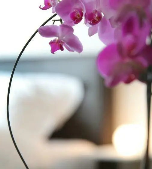 Standard Neljän Hengen Huone, B&b Back2front