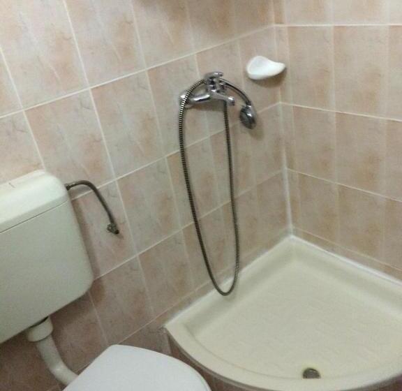 스탠다드 룸, Bucegi Portile Regatului