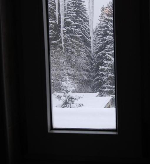 패밀리 룸, Bucegi Portile Regatului