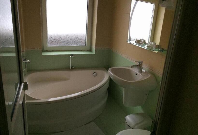 스탠다드 발코니 룸, Bucegi Portile Regatului