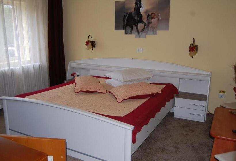 스탠다드 발코니 룸, Bucegi Portile Regatului