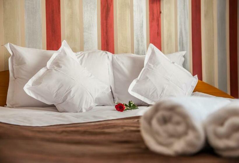 Номер Стандарт, Class Hermannstadt