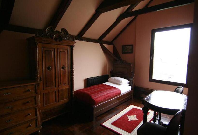 جناح جونيور, Poesis Satu Mare